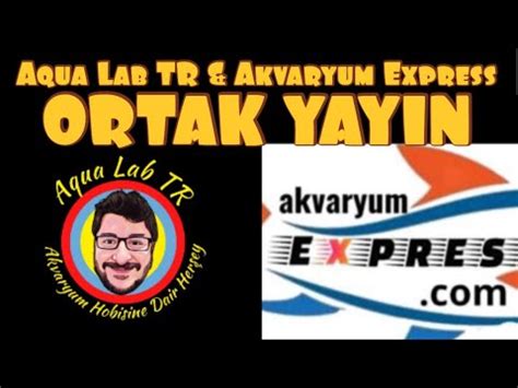 Akvaryum Express Le Ortak Yay Nday Z Akvaryum Bal Klar Youtube