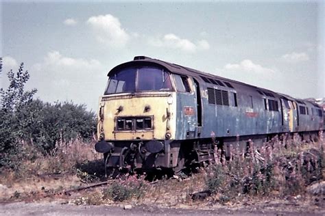 1057 Swindon 19 8 76 Class 52 Number D1057 Western Chieft Flickr