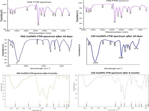 Frontiers Phyto Mediated Copper Oxide Nanoparticles For Antibacterial