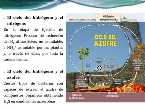 Ppt Ciclo BiogeoquÍmico Del HidrÓgeno Powerpoint Presentation Free