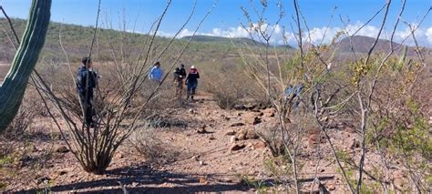 La Jornada Madres Buscadoras De Sonora Reportan Hallazgo De Ocho Cuerpos