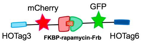 Part BBa K2601026 Parts Igem Org