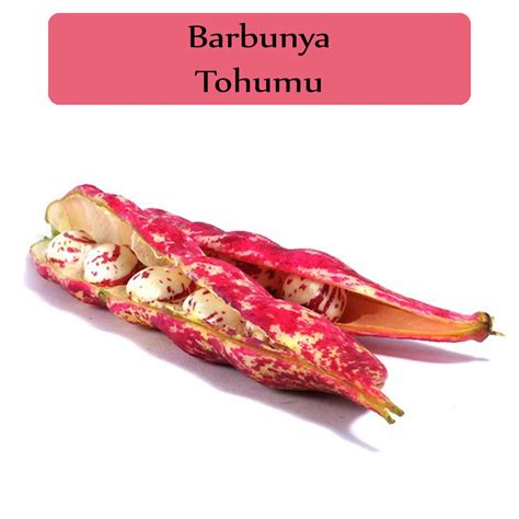 Barbunya Tohumu 1 Paket 10Gr 10 Adet Barbunya Tohumu