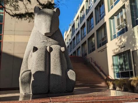 The Surprising True Story Behind the ‘Unofficial’ Bear Mascot of UCSF ...