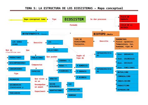 Docx Mapa Conceptual La Estructura De Los Ecosistemas Dokumen Tips