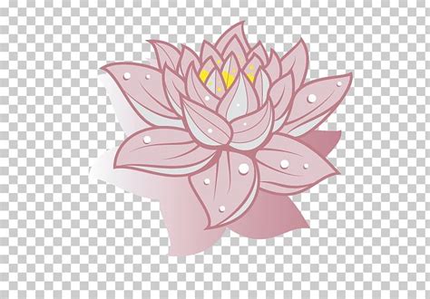 Nelumbo Nucifera Drawing Png Clipart Art Counselling Cut Flowers