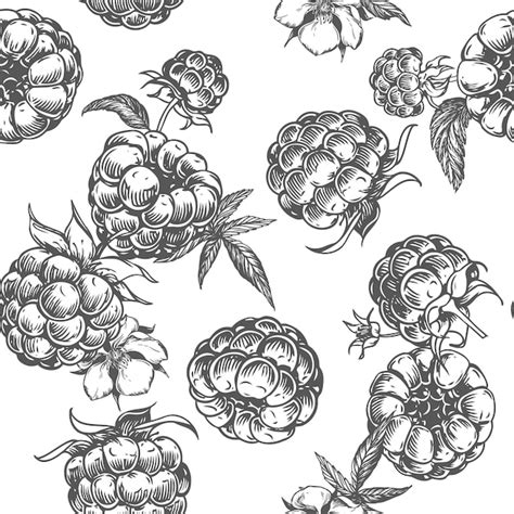 Premium Vector Raspberry Seamless Pattern Vector Drawing Isolated