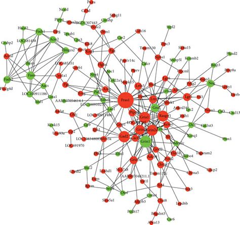 Protein Protein Interaction Ppi Network Construction Of Degs Red