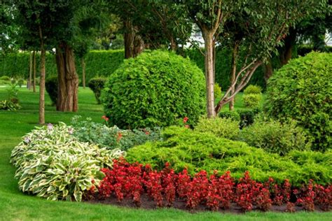 Macizo De Flores Con Flores Rojas Y Arbustos Verdes Con Rboles En El