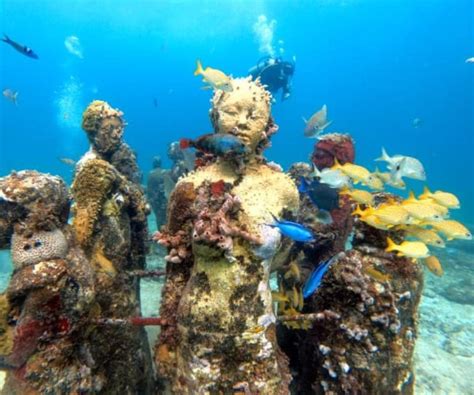 Cancun Musée sous marin Musa plongée dans les récifs GetYourGuide