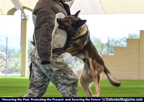 355th Sfs Military Working Dog Show Defender Magazine