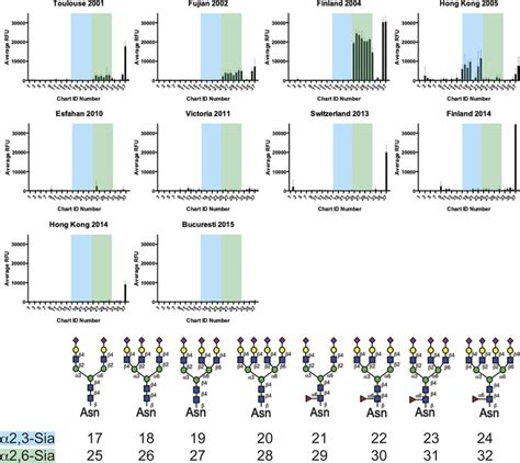 Receptor Binding Profile Of H3n2 Drift Strains Isolated From 2001 To