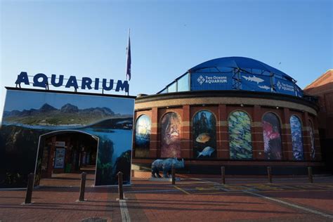 Two Oceans Aquarium | Welcome to the Two Oceans Aquarium