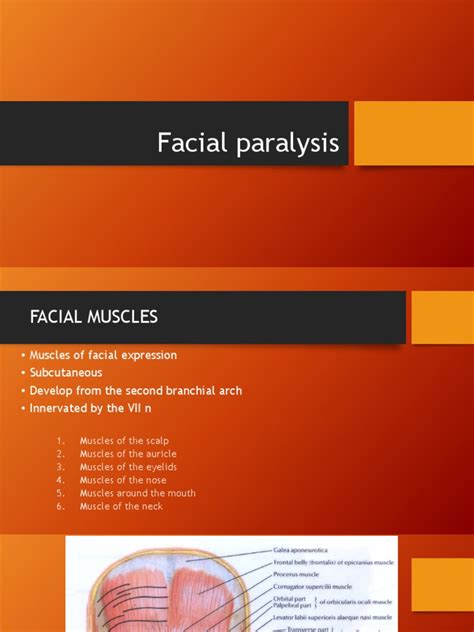 An In Depth Look At Facial Paralysis Causes Symptoms And Treatment