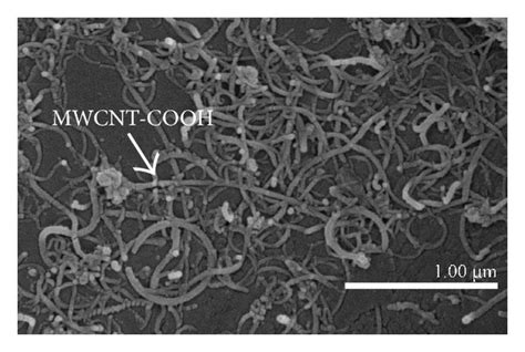 Uncoated A B And MWCNT COOH Coated C D Zirconia Disc Samples A