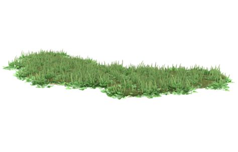 Grass Transparent PNGs for Free Download