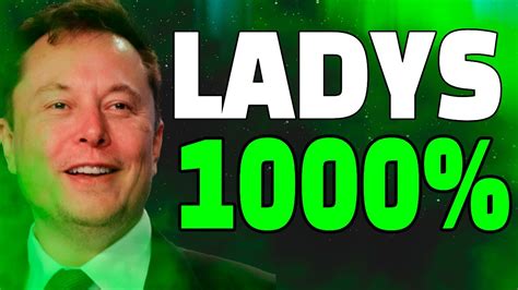 Milady Meme Coin Will After Deal With Tesla Ladys Price