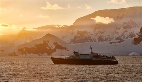 Antarctica Elephant Island Weddell Sea Polar Circle Venture