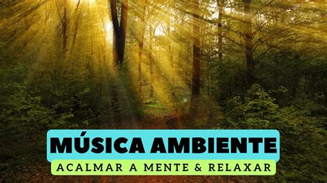 Musica De Ambiente Musica Para Relaxar E Dormir Musica Para Relaxar A