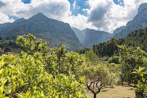 Voyage Majorque Randonn E Circuit Organis Et Trek