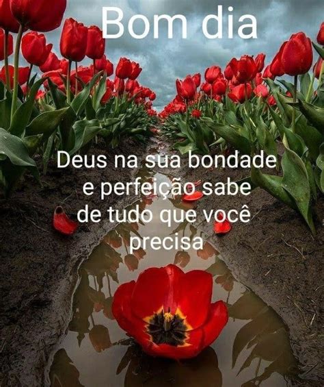 Pin De Gilson Bernardes Em Bom Dia Feliz Sabado Mensagens De Bom Dia