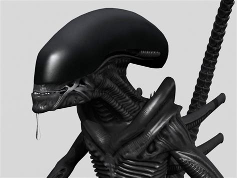 3d Rigged Xenomorph Drone Aliens Model