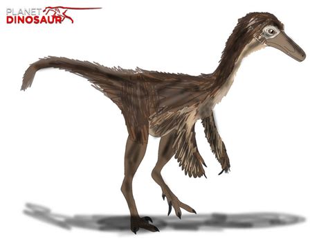 Planet Dinosaur Saurornithoides By Vespisaurus On Deviantart