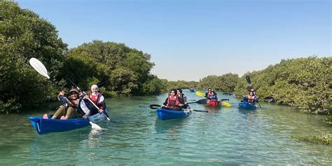 Discover The Mangroves Of Qatar Air World Holidays