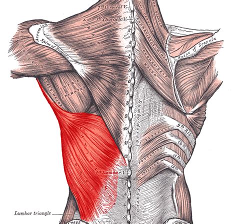 Remote Training For Pitchers To Increase Velocity