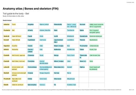 Anatomy atlas Bones and skeleton - Anatomy atlas / Bones and skeleton ...