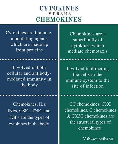 Difference Between Cytokines and Chemokines | Structure, Types, Function