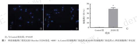 磷酸化叉头框o4型在h9c2心肌细胞缺氧复氧损伤中的作用细胞min心肌细胞foxo 健康界