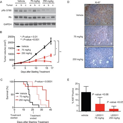 Lee Impairs Ewing Sarcoma Tumor Xenograft Growth In Vivo A