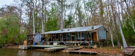 Buildings And Honey Island Swamp Tour With Jungle Forest And Tree In