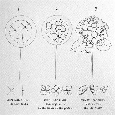 Bộ sưu tập hình xăm hoa cẩm tú cầu chất lượng cao gồm hơn 999+ hình ...