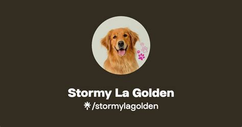 Stormy La Golden Instagram Facebook Tiktok Linktree