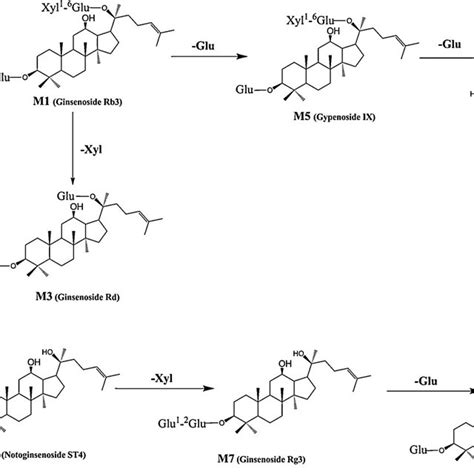 Chemical Structures Of Ginsenoside Rb1 Ginsenoside Rg1 And