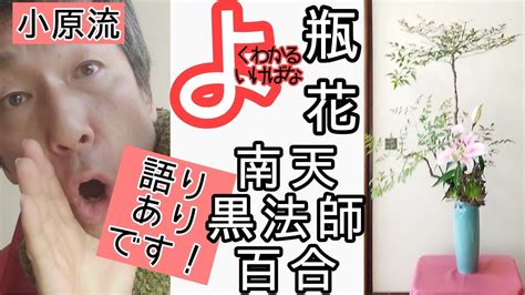 【よくわかる生け花】いけばな小原流 瓶花 南天 黒法師サンシモン 百合 の自主トレ風景です。 おうち生け花のヒントになれば幸いです