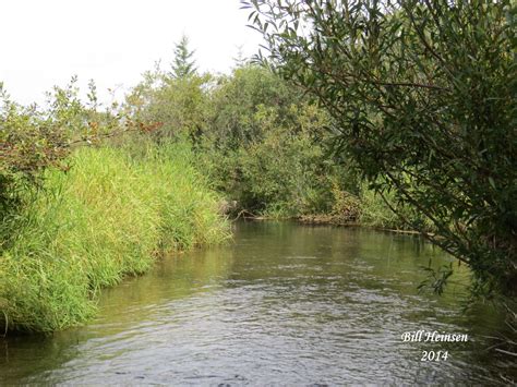 Tributaries - Red Deer River Naturalists