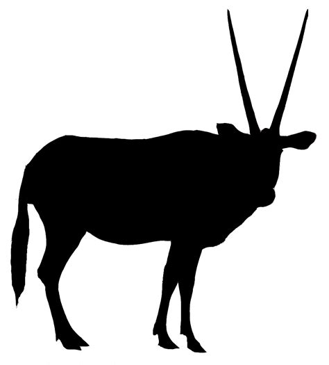 Antelope Gemsbok Silhouette Gazelle Clip Art Silhouette Png Download