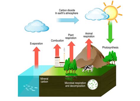 ORGANIC CARBON - JV Smart Future