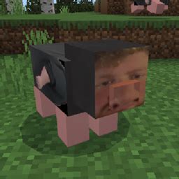 Caseoh Pig Pack - Minecraft Bedrock Texture Packs - CurseForge