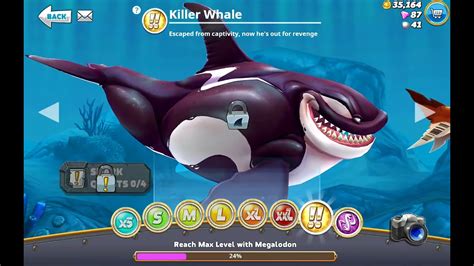 unlocked megalodon in hungry shark world - hungryshark.world