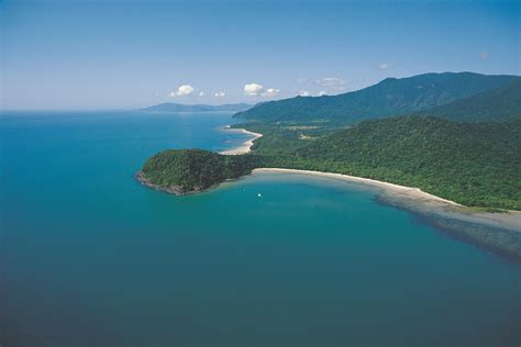 Cape Tribulation Day Tours Small Group Tour Daintree National Park