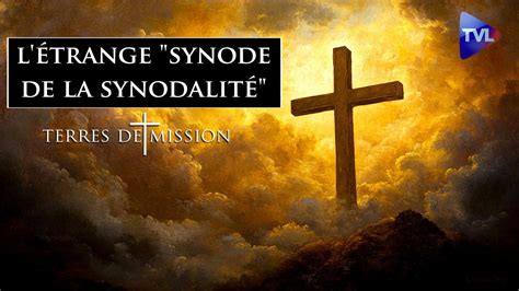 Au cœur de l étrange synode de la synodalité Terres de Mission n