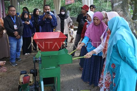 Pembuatan Pewarna Batik Alami Antara Foto