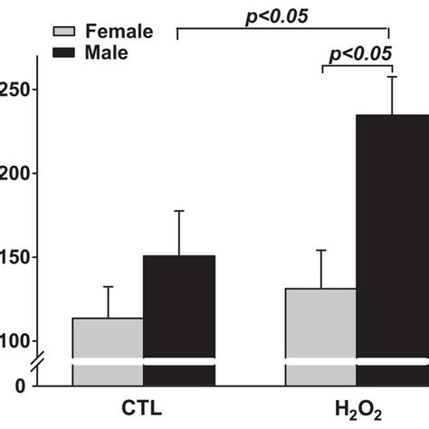 Sex Difference In Caspase 3 Activation In Response To H 2 O 2 Ctl Download Scientific