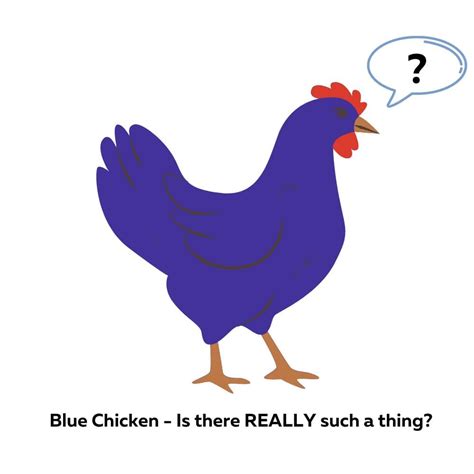 Blue Chicken - Is there REALLY such a thing? - Pampered Chicken Mama ...