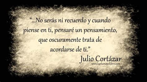 El Futuro De Julio Cort Zar La Pluma Y El Libro