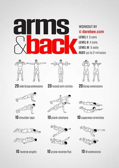 Darebee Workouts Arm Workout Back Workout Routine Back Of Arm Exercises